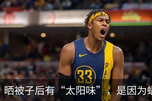 晒被子后有“太阳味”,是因为螨虫被烤焦了?科学家:太阳的功劳