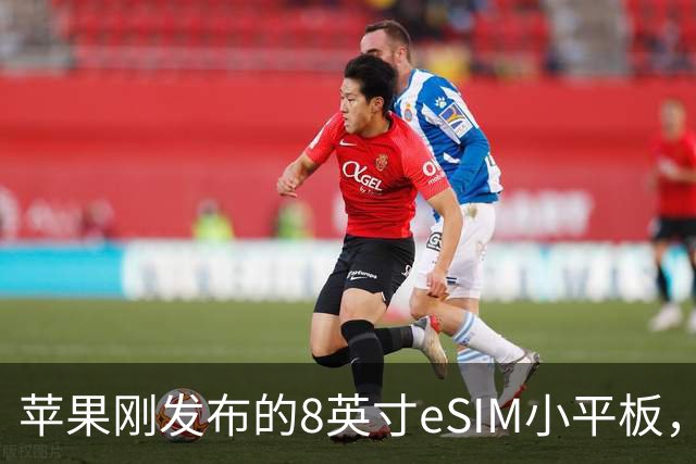 苹果刚发布的8英寸eSIM小平板,这价格是疯了吧